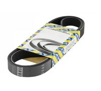 NTN-SNR Cinghia servizi CA5PK1800 multirighe per KIA HYUNDAI