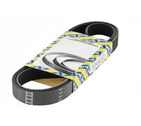 SNR CA5PK2020 Cinghia servizi