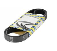 NTN-SNR Cinghia trapezoidale multirighe CA5PK2060 per BMW 3 Touring, 5 Touring, X5
