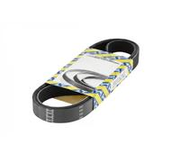 SNR CA5PK884 Cinghia servizi