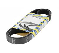 NTN-SNR Cinghia servizi CA6DPK1188 trapezoidale multirighe