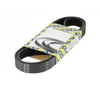 NTN-SNR Cinghia servizi CA6PK1000 – trapezoidale multirighe per Porsche, Peugeot, BMW, Citroën, VW