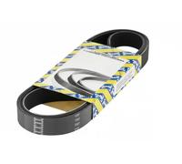 SNR CA6PK1065 Cinghia servizi