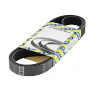 SNR CA6PK1125 Cinghia servizi