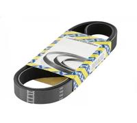 SNR CA6PK1130 Cinghia servizi