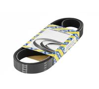 SNR CA6PK1137 Cinghia Poly-V per DAIHATSU,HONDA,RENAULT,TOYOTA