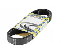 NTN-SNR Cinghia trapezoidale multirighe CA6PK1148 per VW Renault Citroën Peugeot