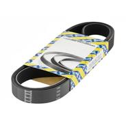 SNR CA6PK1209 Cinghia servizi