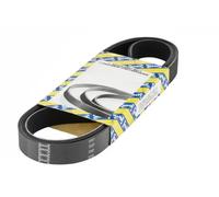 NTN-SNR Cinghia trapezoidale multirighe CA6PK1275 per Opel Meriva Combo Tour Astra G Caravan