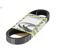 SNR CA6PK1330 Cinghia servizi