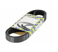 SNR CA6PK1340 Cinghia servizi