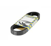 SNR CA6PK1367 Cinghia servizi