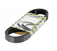 NTN-SNR Cinghia Poly-V CA6PK1414 per Chrysler, Ford, Mercedes-Benz, Opel, Peugeot, Renault