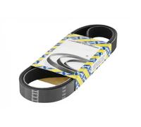 SNR CA6PK1420 Cinghia servizi