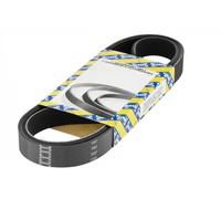 SNR CA6PK1454 Cinghia servizi