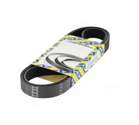 SNR CA6PK1564 Cinghia servizi
