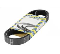 SNR CA6PK1590 Cinghia servizi