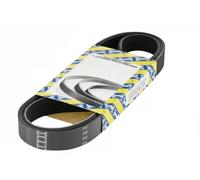 SNR CA6PK1635 Cinghia servizi