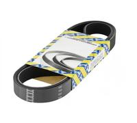 SNR CA6PK1705 Cinghia servizi