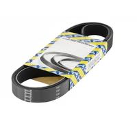 NTN-SNR Cinghia trapezoidale multirighe CA6PK1744 per Citroën, Peugeot, Ford, Opel, Land Rover