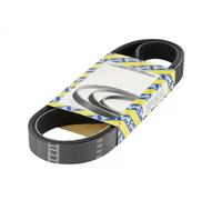 SNR CA6PK1750 Cinghia servizi