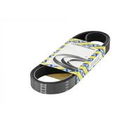 NTN-SNR Cinghia servizi CA6PK1760