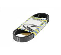 NTN-SNR Cinghia servizi CA6PK1820 Poly‑V multirighe per Dacia, Ford, Toyota, Renault, VW