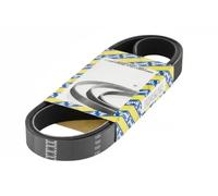 NTN-SNR Cinghia servizi CA6PK2065 multirighe