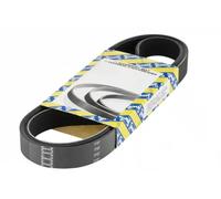 SNR CA6PK2385 Cinghia servizi