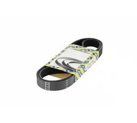 SNR CA6PK903 Cinghia servizi