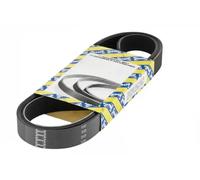 NTN-SNR Cinghia servizi CA7PK1076 Poly-V multirighe per Fiat Ducato