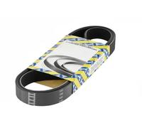 SNR CA7PK1094 Cinghia servizi