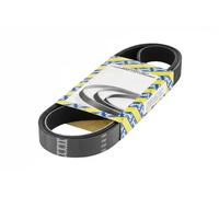 NTN-SNR Cinghia servizi CA7PK1140 – trapezoidale multirighe per Nissan Micra, NV200