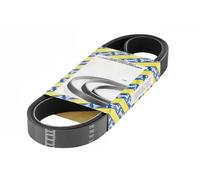 SNR CA7PK1148 Cinghia servizi
