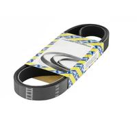 SNR CA7PK1705 Cinghia servizi