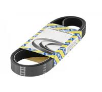NTN-SNR Cinghia servizi CA7PK1750 trapezoidale multirighe per Honda e Lexus