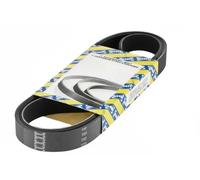 SNR CA7PK2250 Cinghia servizi