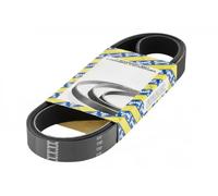 NTN-SNR Cinghia servizi CA7PK2265 trapezoidale multirighe per Honda, Jeep e Mercedes-Benz