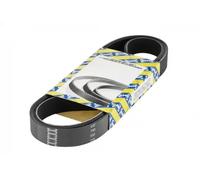 SNR CA7PK2682 Cinghia servizi