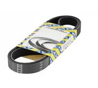SNR CA7PK2842 Cinghia servizi