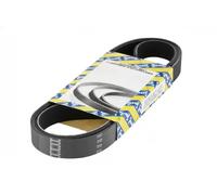 SNR CA8PK1230 Cinghia servizi