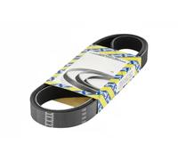 NTN-SNR Cinghia servizi CA8PK2043 – Poly-V multirighe per Mercedes-Benz, Jeep