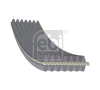 Cinghia trapezoidale multirighe CR (cloroprene-caucciù) 45025 FEBI BILSTEIN