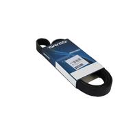 Cinghia trapezoidale multirighe DAY6PK2415HD DAYCO