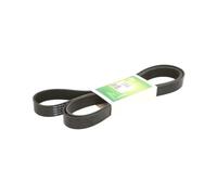 Cinghia Poly-V DAYCO DAY8PK2465AGRI