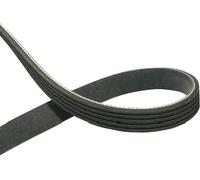 KAVO PARTS DMV-3015 Cinghia servizi