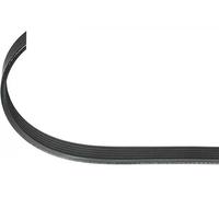 Cinghia trapezoidale multirighe EPDM (Etilene-Propilene-Diene-Caucciù) 100 336