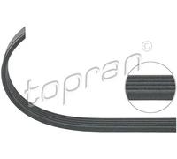 Cinghia trapezoidale multirighe EPDM (Etilene-Propilene-Diene-Caucciù) 100 337
