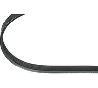 Cinghia trapezoidale multirighe EPDM (Etilene-Propilene-Diene-Caucciù) 100 342