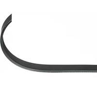 Cinghia trapezoidale multirighe EPDM (Etilene-Propilene-Diene-Caucciù) 101 604